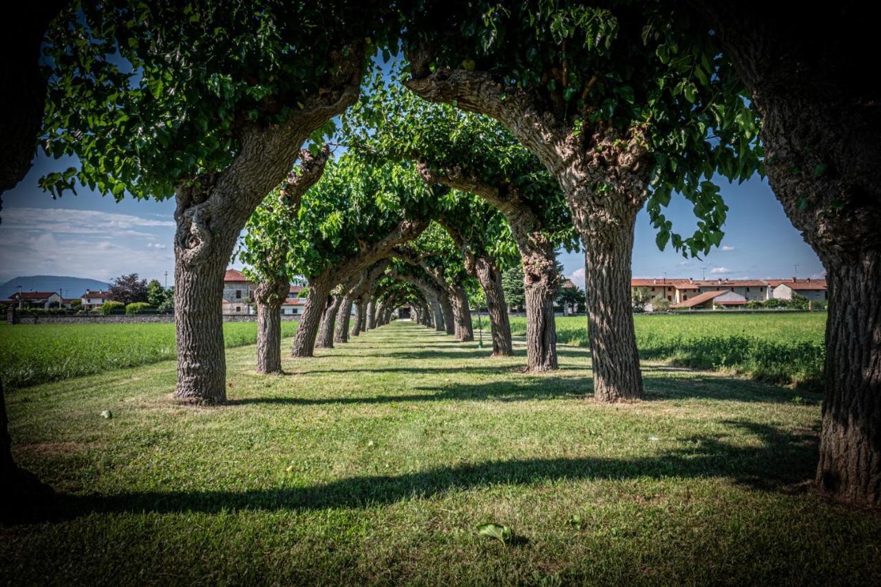 Villa Minini Bed & Breakfast Rive d'Arcano Exteriör bild