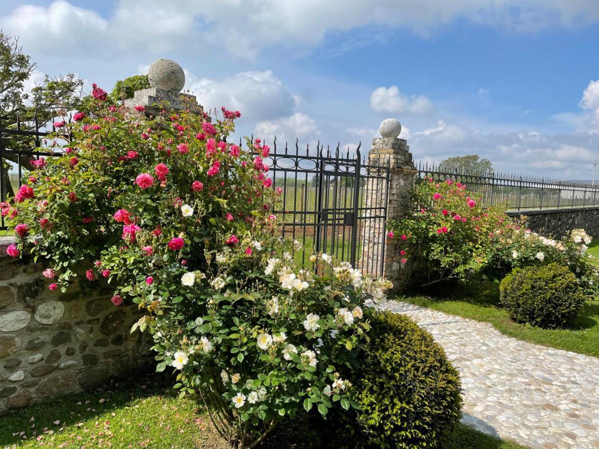 Villa Minini Bed & Breakfast Rive d'Arcano Exteriör bild